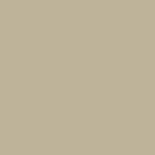 HB10 film finish swatch