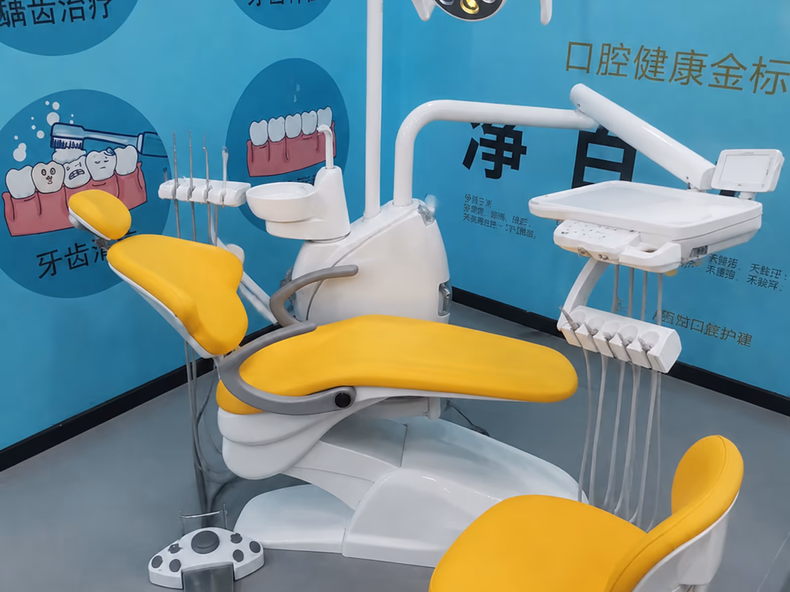 QL2024 dental chair in a finished treatment-room reference